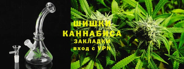 дживик Саяногорск