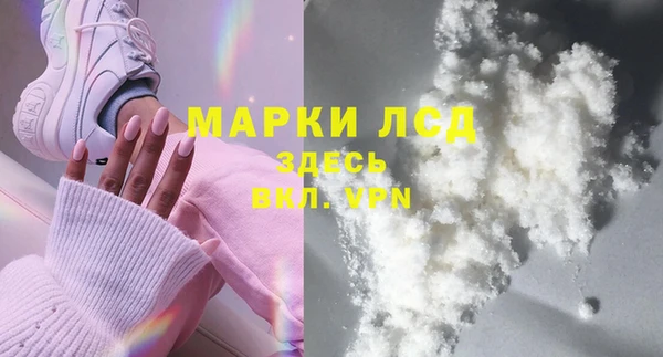 стаф Беломорск