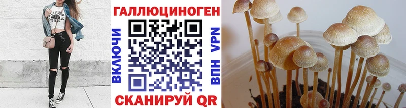 мориарти официальный сайт  Облучье  Галлюциногенные грибы ЛСД  МЕГА зеркало 